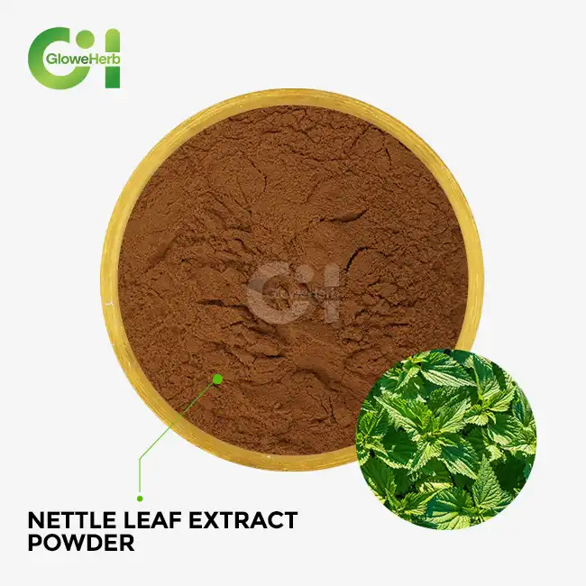 nettle leaf extract powder